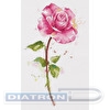 Набор для вышивания "PANNA"  C-7190   "Акварельная роза" 18.5  х 28.5  см