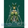 Набор для вышивания "PANNA"  J-7272   "Фантазийные жуки. Изумруд и лимон" 9  х 12.5  см