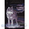 Набор для вышивания "PANNA"  J-0462   "Белый волк" 24.5  х 36  см