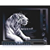 Набор для вышивания "PANNA" J-0277 "Белый тигр" 40 х 32 см