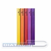 Папка DURABLE Duralook Color 2422-08, A4, с 20 прозрачными вкладышами, антрацит/розовый
