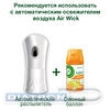 Картридж аэрозольный AIRWICK, 250мл, Анти-табак апельсин и бергамот