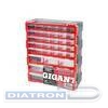 Органайзер Gigant Professional GPMI-1, вертикальный, 365х160х445 мм, 39 ячеек