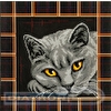 Кристальная (алмазная) мозаика "ФРЕЯ" ALBP-292 постер "Британская кошка" 30 х 30 см